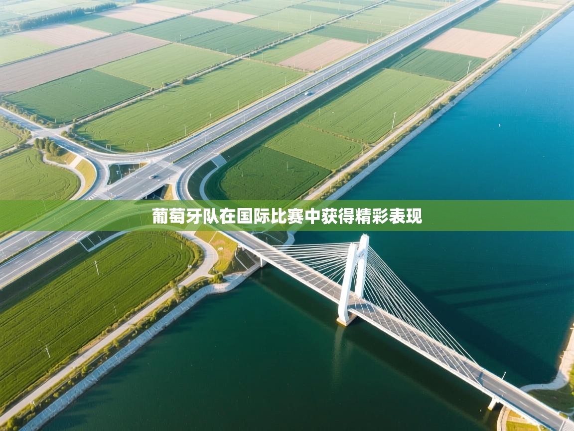 云开体育app网页版登录入口-葡萄牙队在国际比赛中获得精彩表现 第1张