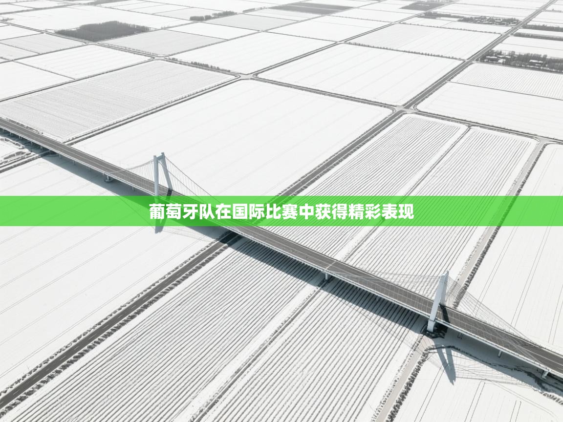云开体育app网页版登录入口-葡萄牙队在国际比赛中获得精彩表现 第2张