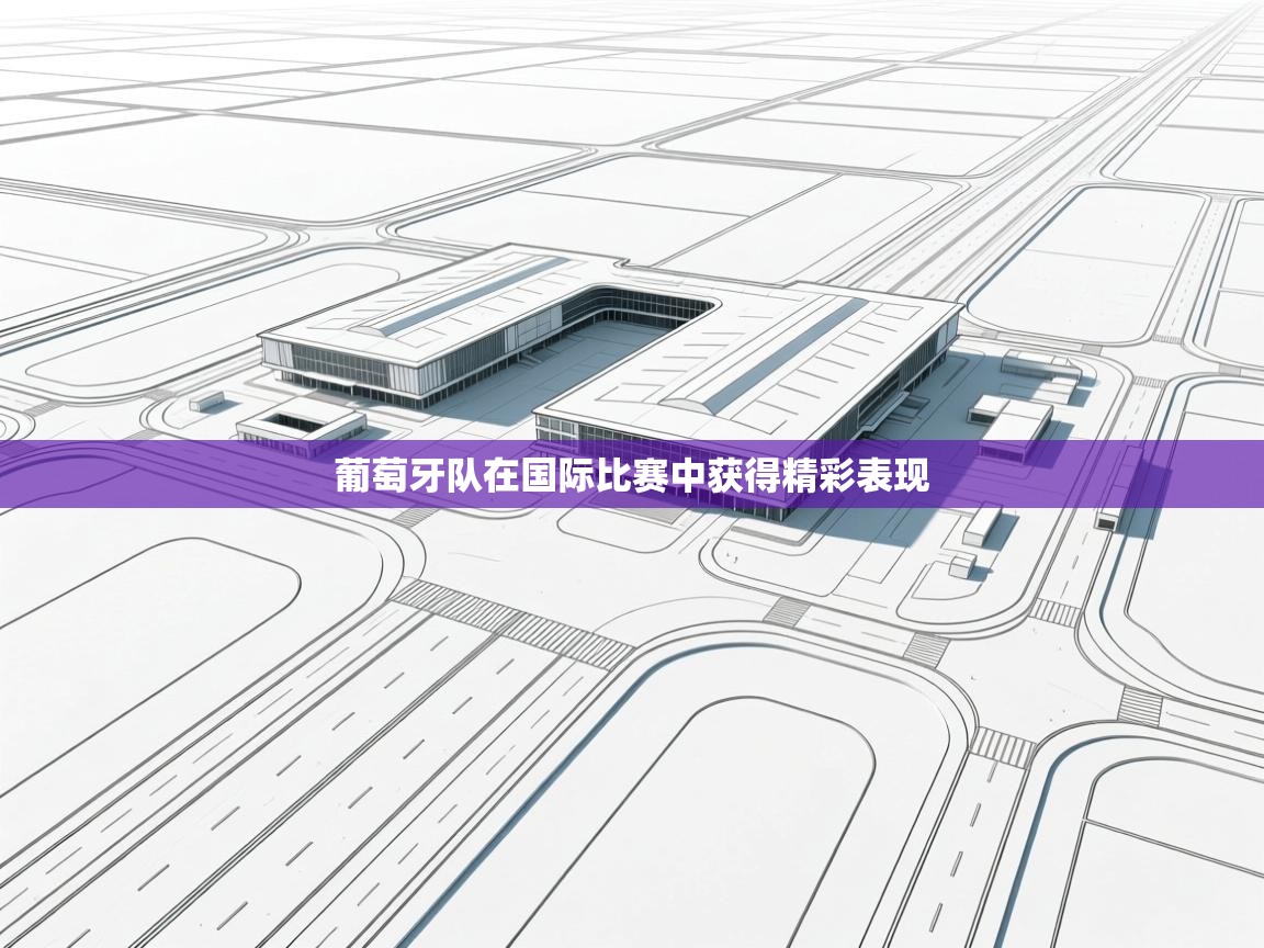 云开体育app网页版登录入口-葡萄牙队在国际比赛中获得精彩表现 第3张