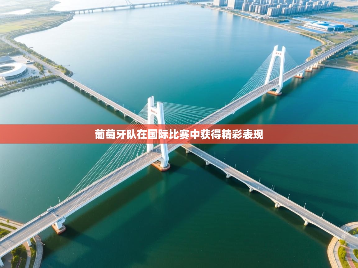 云开体育app网页版登录入口-葡萄牙队在国际比赛中获得精彩表现 第4张