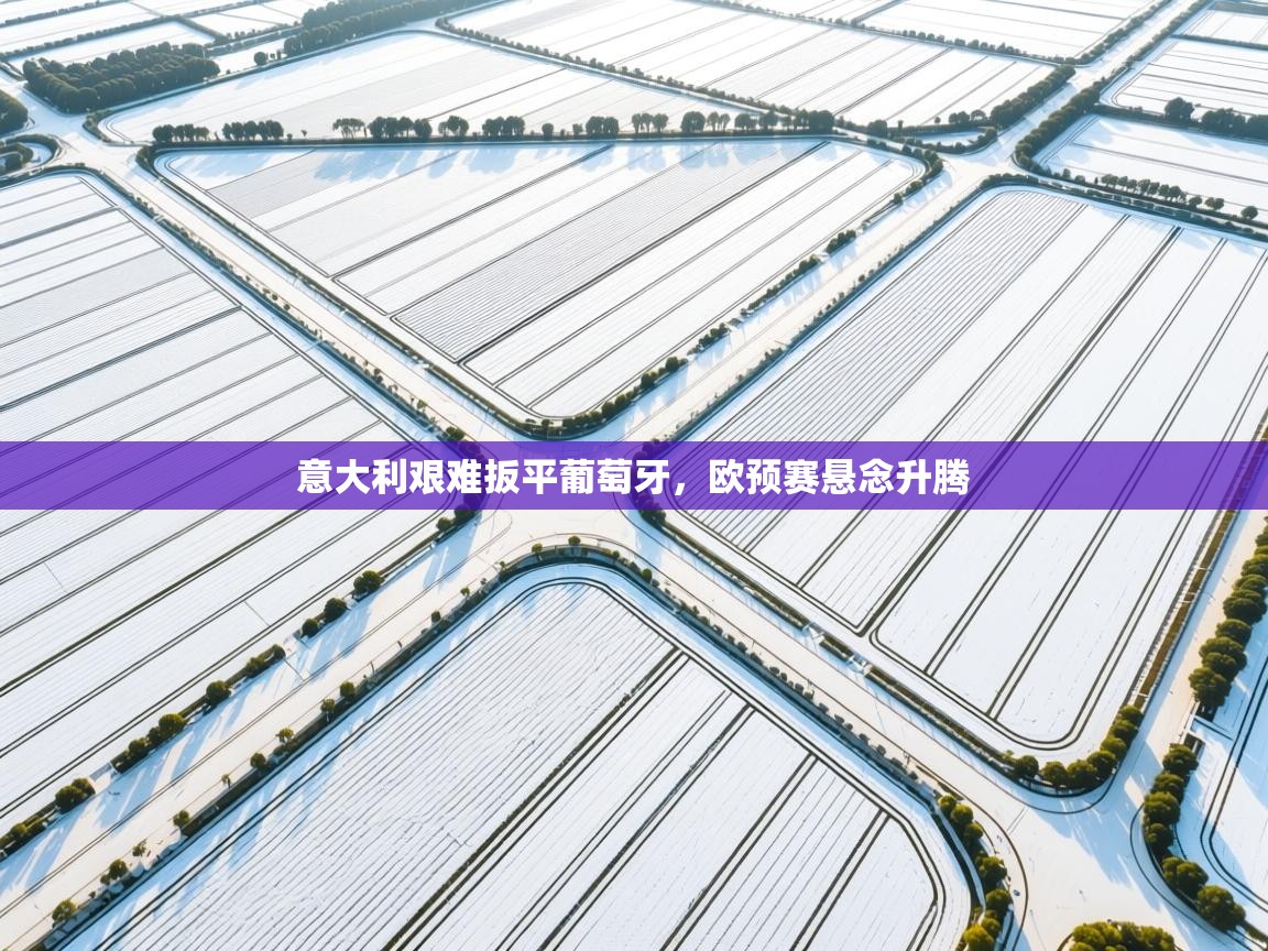 云开体育官网登录入口-意大利艰难扳平葡萄牙，欧预赛悬念升腾  第2张