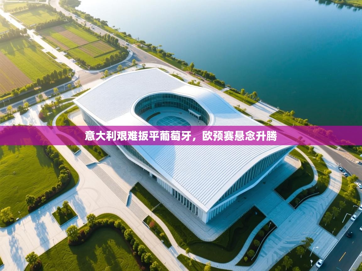 云开体育官网登录入口-意大利艰难扳平葡萄牙，欧预赛悬念升腾  第4张