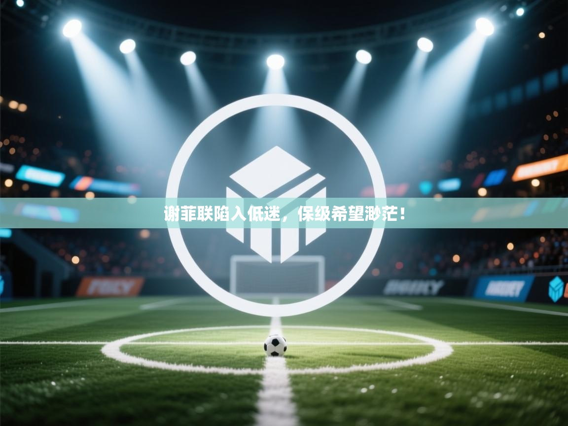 云开体育app登录入口-谢菲联陷入低迷，保级希望渺茫！  第3张